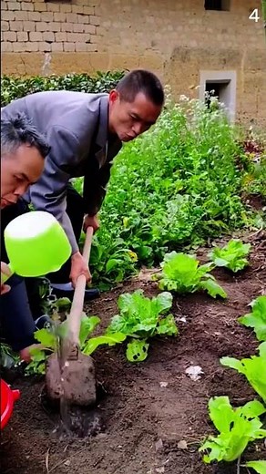 Ide cerdas memberikan air pada tanaman menggunakan metode unik #shorts