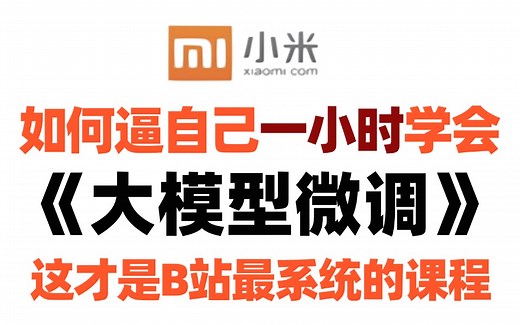 【AI大模型实战】1小时彻底掌握大模型微调（Fine-Turning）从理论到实战，超干货小白也能学会！！