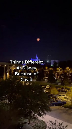 The Disney Mountaineer on TikTok