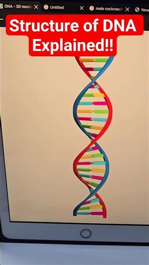Structure of DNA explained! #biology #neet2026 #neet #aiims #dna #genetics