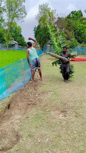 Hilarious Moments Caught on Camera