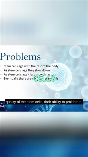 Stem Cell Science: Why Healing Slows With Age #shorts