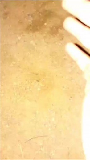 19K views · 82 reactions | Engine missing Chek Exhaust #alsharifauto #pakwheels #advice #tips #badsounds #automobile #shani 03088734241 | Al Sharif Auto Care | Facebook