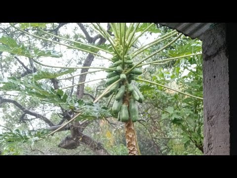 Aventuras con WILLY está en vivo desde EL SALVADOR 🇸🇻