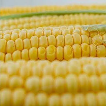 Nortera Closes Lethbridge Frozen Food Facility Amid Rising Production Costs