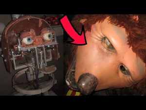 Top 5 Abandoned & Abused Rock Afire Explosion Animatronics! (Halloween Special)