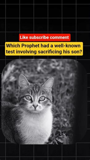 Which Prophet had a well-known test involving sacrificing his son?#islam #shorts