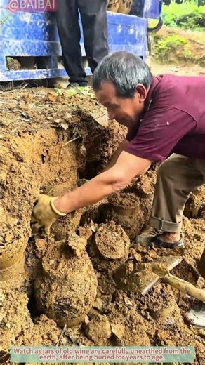 Digging Up Buried Wine After Years in the Ground