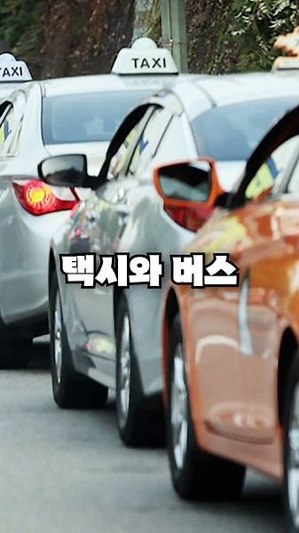 자동차 번호판의 숨겨진 규칙 이해하기