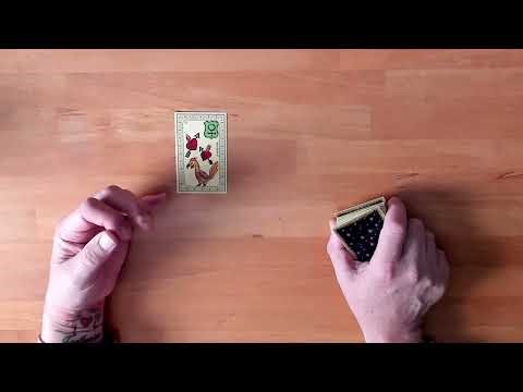 Intuition or Meaning: How to Read the Belline Oracle