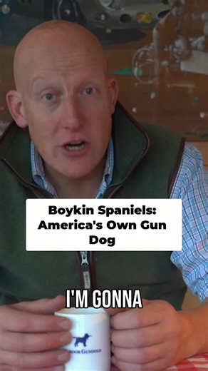 Boykin Spaniel: An American Gundog Breed