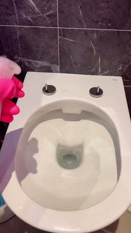 A good old deep toilet cleaning