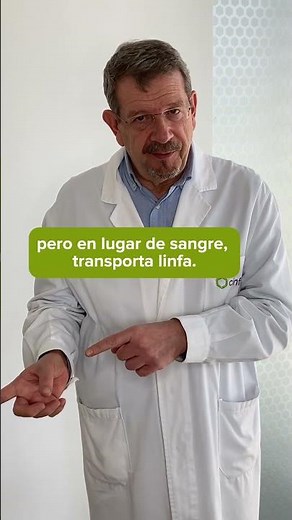 Funciones del sistema linfático