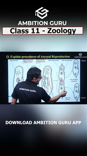 Class 11 Science Board Exam Focus Classes — Ongoing! Prepare smart. Score better. Join now. Download the Ambition Guru app : https://tny.ws/AGEntrancePrep For More Information: 📞 Contact: 01-5970295 🌐 Visit: www.ambition.guru #Class11Science #NEBPreparation #AmbitionGuru | NEB 11 & 12 - Ambition Guru