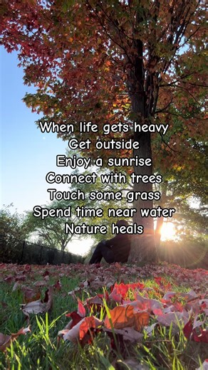 Numerous scientific studies have shown that spending time in nature can significantly benefit both mental and physical health. The therapeutic effects range from reducing stress and improving mood to boosting the immune system and increasing physical activity. This mind-body connection has led to the development of