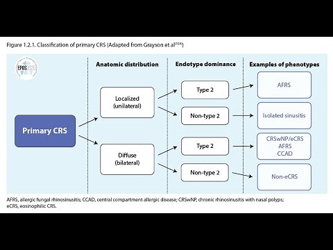 The new EPOS2020 CRS classifciaton narrated by Prof Richard Harvey