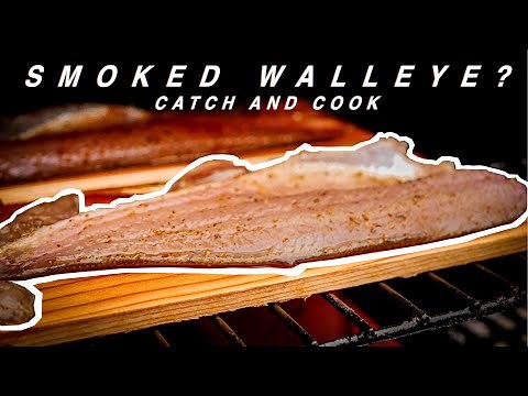 Smoked walleye? - Catch and Cook