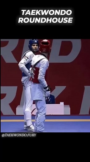 Tae Kwon Do Fury on TikTok