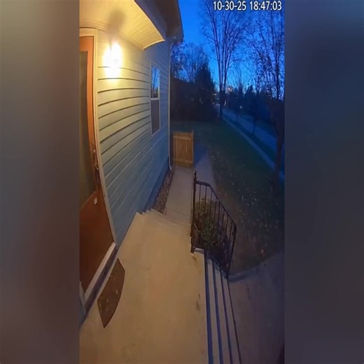 KARMA! Porch Pirate’s Pink Surprise 🎨📦 Security Camera Footage #viral #crime #karma #dog #cat #foodie Security footage shows a hooded individual running down a residential sidewalk carrying a small cardboard parcel. The box appears slightly worn with creased corners and loose tape. About halfway down the walkway, the subject throws the parcel onto the concrete. On impact, the box collapses at one corner and releases a dense burst of bright pink chalk-like powder. The pigment cloud expands quic