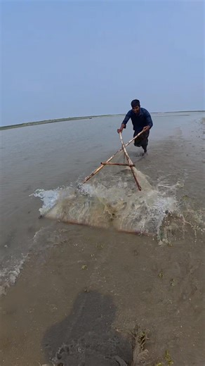 Shallow Water Big Catch! Village Net Fishing at Its Best