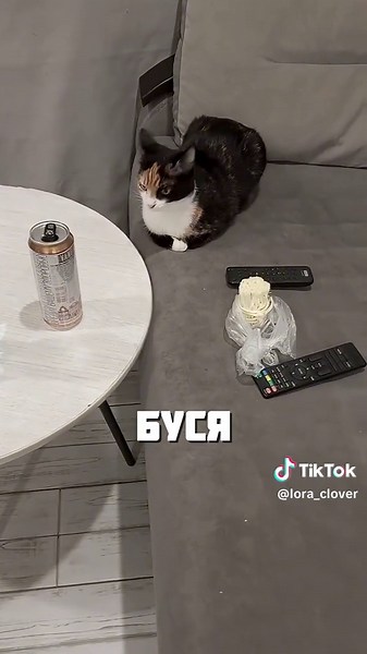 КОШКА С МЫШКОЙ ПОРУГАЛИСЬ pgAK0noVzTU