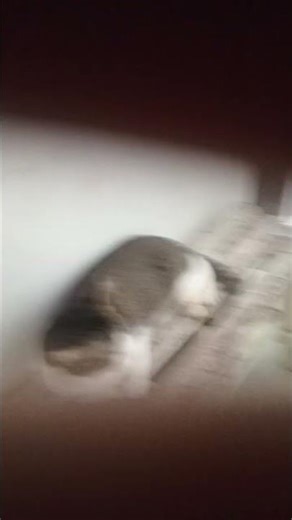 open see it and close