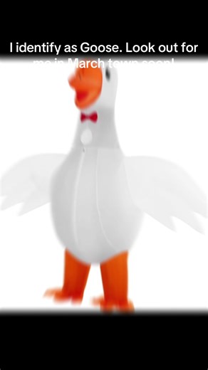 Getting ready to promote and sell the charity calendar #geeseofmarch