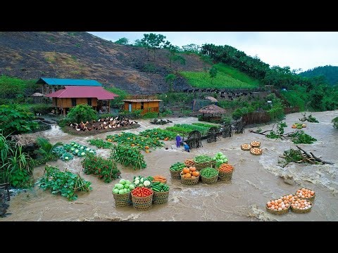 From Farm to Market… Then Disaster 😱 | Harvest, Cook & Rebuild After the Biggest Flood Ever