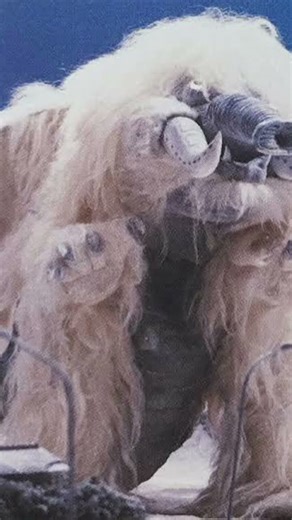 FINAL BOSS INVASION PART 4 MARGODON