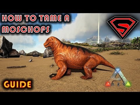 ARK HOW TO TAME A MOSCHOPS 2020 - EVERYTHING YOU NEED TO KNOW ABOUT TAMING A MOSCHIOPS