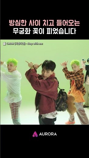무궁화 꽃 Step with CMDM