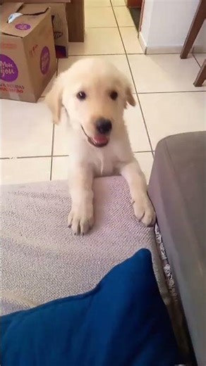 23 de março de 2026