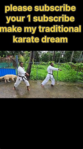 🥋 Shotokan Karate Mix Kihon Training 🔥