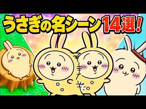 14 Usagi’s BEST SCENES! His Screams Are TOO CUTE! CHIIKAWA