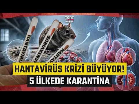 Hantavirüs Yayılıyor: 5 Ülkede Karantina! Ölüm Gemisinden İnenlerde Hantavirüs Çıktı - TGRT Haber