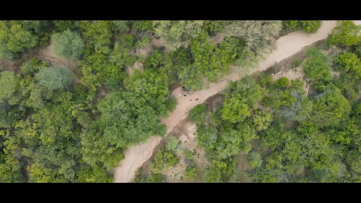 139 reactions · 37 shares | 憐 Further strengthening of anti-poaching...