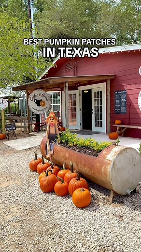 Best Pumpkin Patches in Texas 2024