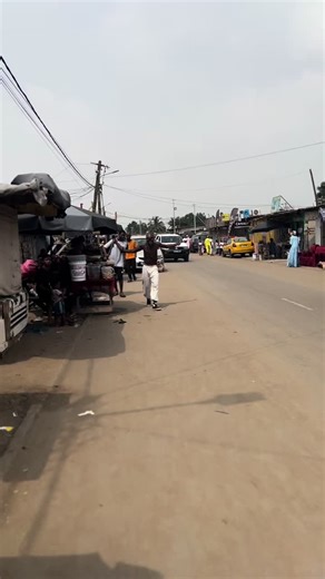 Master the Art of Kung Fu: Shaolin Techniques