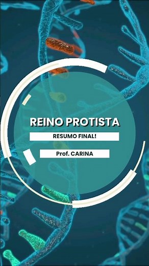 #8 Reino Protista: Algas e Protozoários [RESUMO FINAL] #ciencias #biologia #reinos