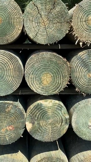 Not all wood posts are created equal. 蝹 At Pasture Management, all...
