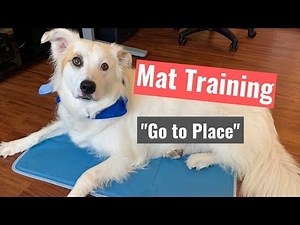 How to Train Your Dog to "Go to Place"-Mat Training