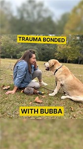 Maggie Murdaugh's dog, Bubba, witnessed her and her son, Paul get gunned down at close range. He was at the kennel the night of June 7, 2021. Since then, he's been living with Maggie's friend and Murdaugh housekeeper, Blanca Turrubiate-Simpson. Blanca says Bubba suffered from terrible nightmares after the murders and almost died, but she's nursed him back to health and he's now doing much better for a 12-year-old lab. And just as much as she's been there for Bubba, he's been there for her. She c