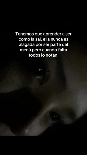 Learning from Salt: Valuing the Unnoticed