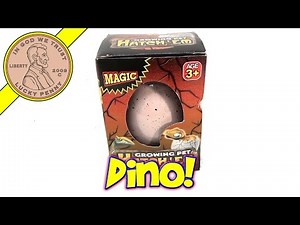 Hatch Em Dino in Egg Watch Your Growing Pet Hatch in Seconds!