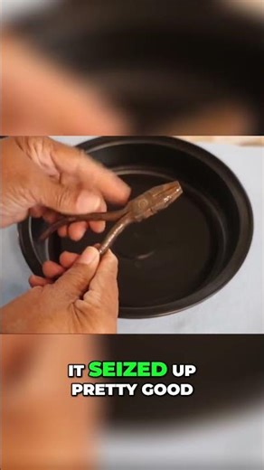 Unlock Seized Rusted Tools with THIS! #seejanedrill #diy