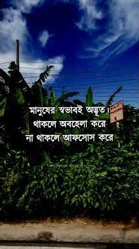 Heart Touching motivational video in bangla #motivation #quotes #life #shorts #ytshorts #reel