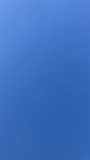 Funny Donkey Saying Hi | Good Morning Animal Videos