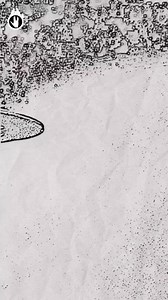 50K views · 1.6K reactions | Captain's Log. Data and Geordi's band has its first performance. #StarTrek #TNG #thenextgeneration | The Millennium Vulcan | Facebook