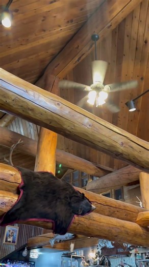 Beautiful log cabin restaurant north of Willow Alaska#alaska#log cabin restaurant #restaurant