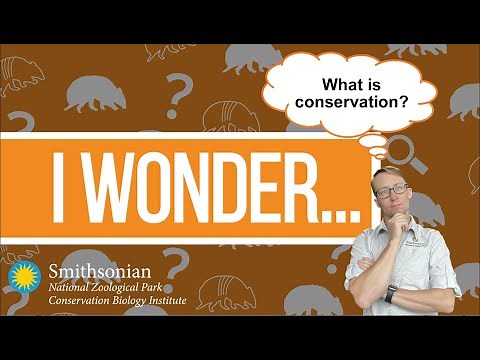 I Wonder - What is conservation?